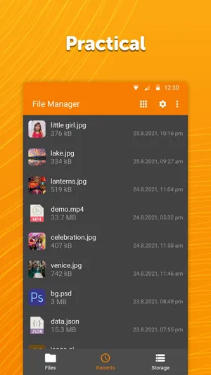 Simple File Manager Pro